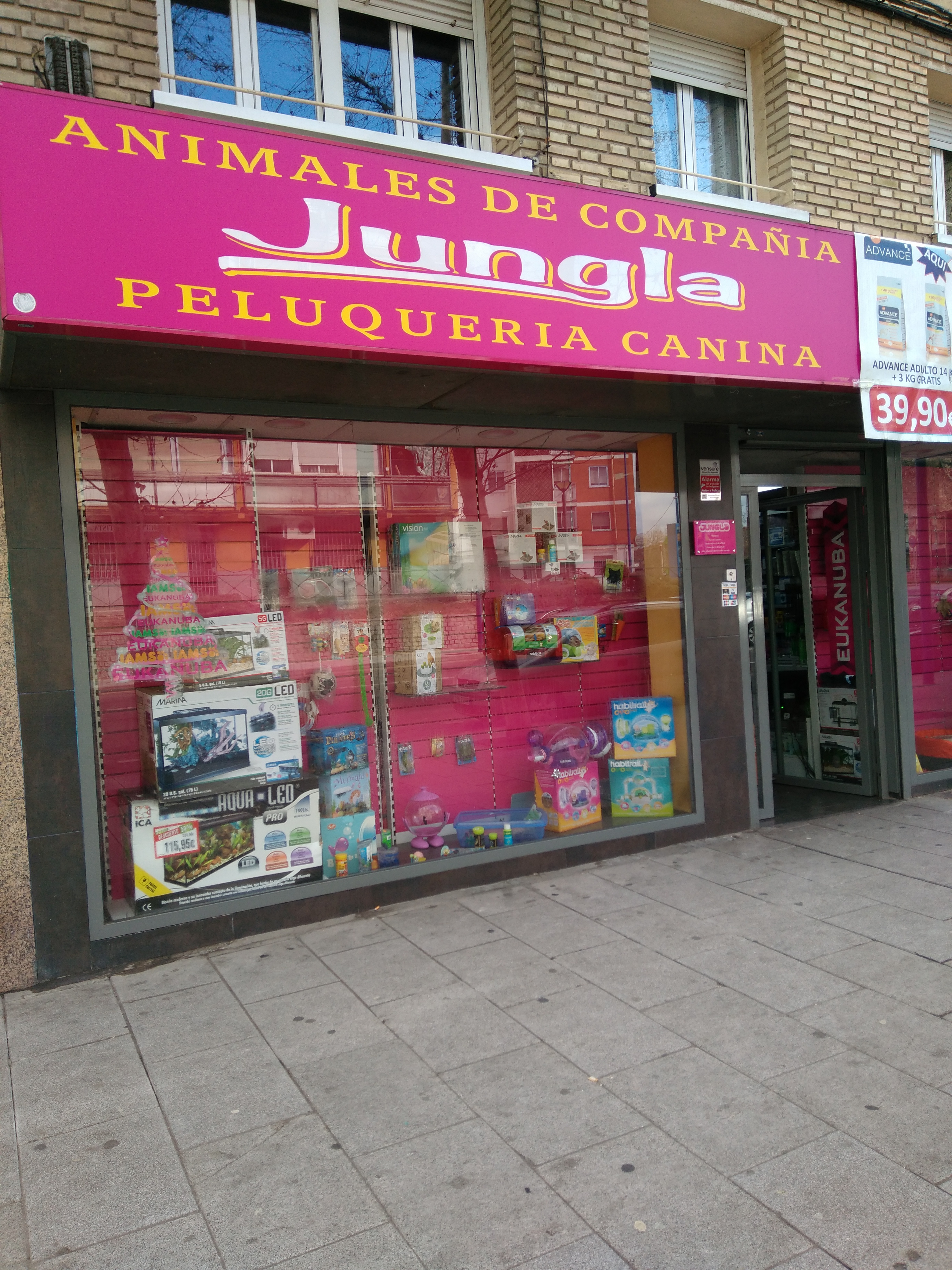 Galería de imágenes